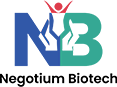 NB 2